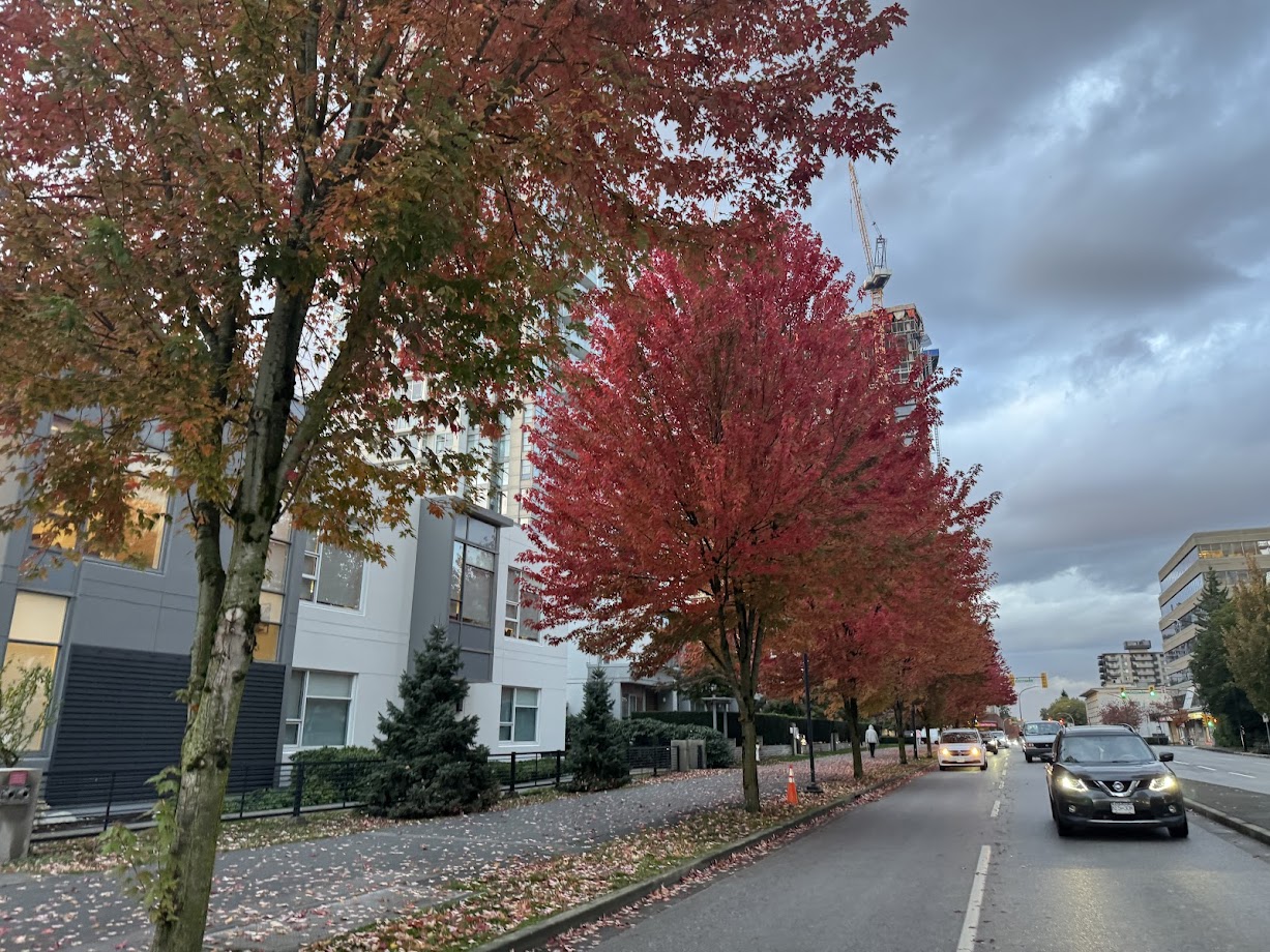バンクーバーの紅葉