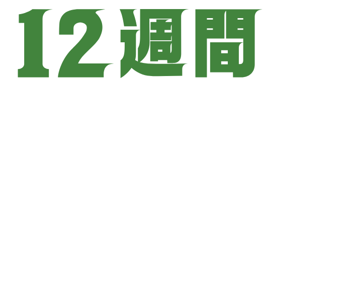 12週間、で、